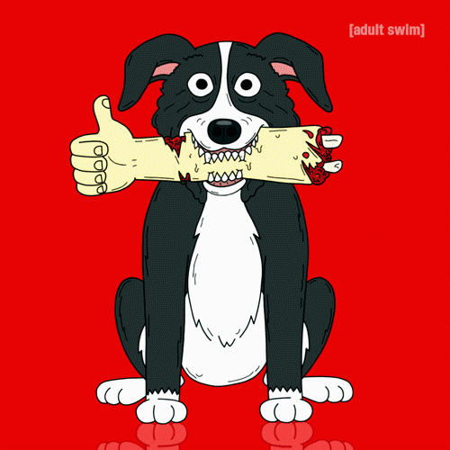 Mr Pickles Yes GIF by Adult Swim