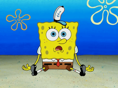 season 5 GIF by SpongeBob SquarePants