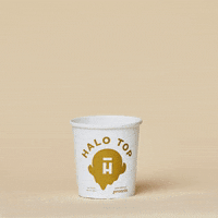 thanksgiving icecream GIF by Halo Top Creamery
