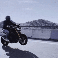 Wheelie GIF