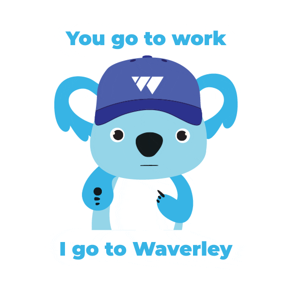WaverleySoftware giphyupload koala waverley Sticker