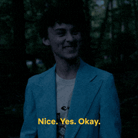 I Am Not Okay With This Wyatt Oleff GIF by NETFLIX