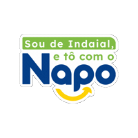 Indaial Napoleao Sticker by Napoleão Bernardes