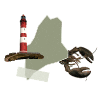 States Reaction Sticker by Crooked Media