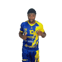 Proligue Sticker by SARREBOURG HANDBALL
