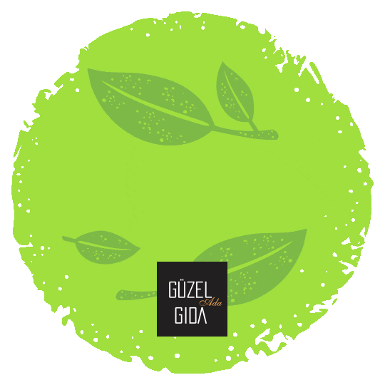 guzelgida giphyupload vegan organic glutenfree Sticker