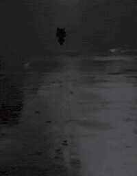Special Week Walking GIF