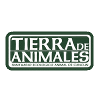 Animal Liberation Dogs Sticker by Tierra de Animales