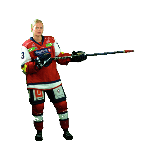 Lillehammerik Sticker by Lillehammer Ishockeyklubb