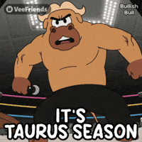 Fight Mood GIF by VeeFriends