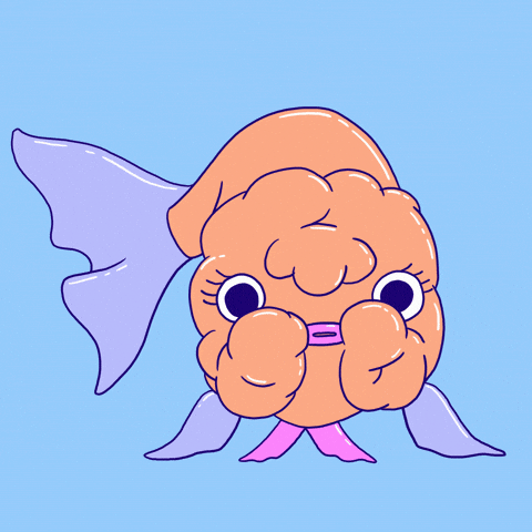 fishyfilms giphyupload love happy heart GIF