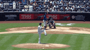 Jomboy  GIF
