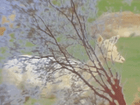 the revolution prince GIF