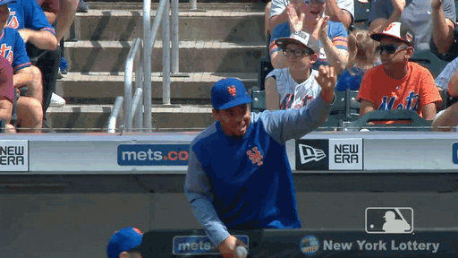 hang loose ny mets GIF by New York Mets