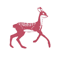 Illustration Foret Sticker