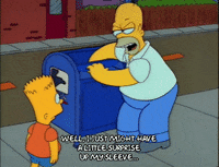 Season 2 Episode 22 GIF by The Simpsons