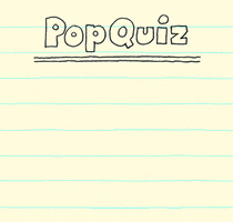 I Love You Quiz GIF by Chippy the Dog