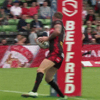 Rugby League Sthelens GIF by St.Helens R.F.C
