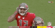 Regular Season Football GIF by NFL