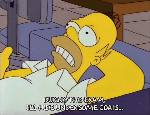 homer simpson episode 3 GIF