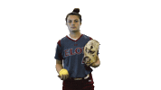 Elon Softball Sticker by Elon Phoenix