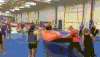 hall idiots GIF