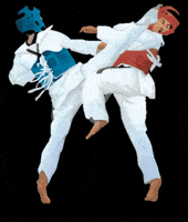 Martial Arts Sport GIF by vank