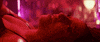 a star is born GIF by TIFF
