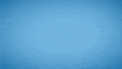 lacsq negociation csq négo2020 lacsq GIF