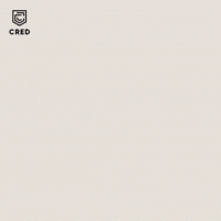 T Rajendar Im Here GIF by CRED