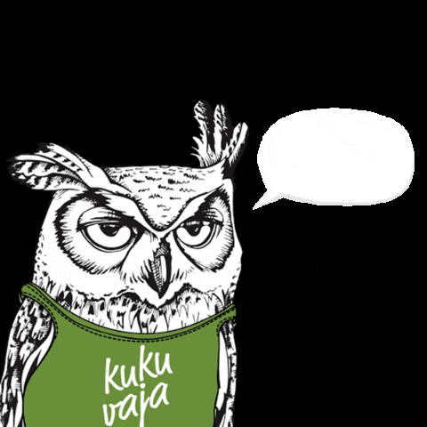 Kukuvaja giphygifmaker giphyattribution wow owl GIF