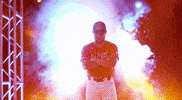 auburn tigers cws GIF by NCAA Championships