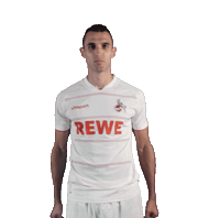 Soccer Celebrate Sticker by 1. FC Köln