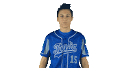 Italia Italiateam Sticker by FIBS - Federazione Italiana Baseball Softball