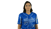 Italia Italiateam Sticker by FIBS - Federazione Italiana Baseball Softball