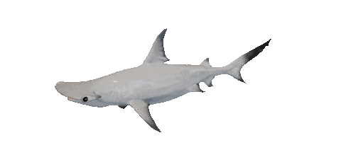 Shake It 3D Sticker by Zacxophone