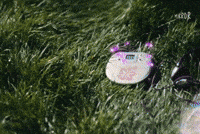 Zara Larsson Summer GIF by Mirror