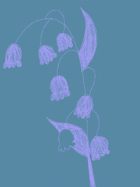 Flower GIF