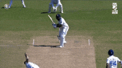 Mumbai Indians India GIF
