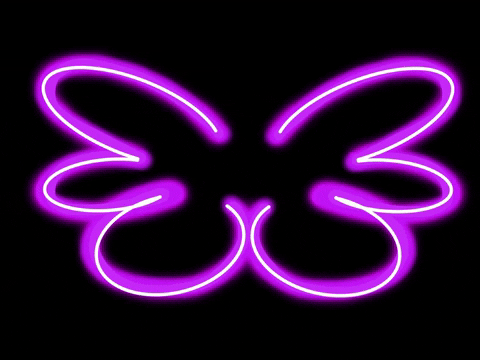 Pelirara giphyupload neon light wings GIF