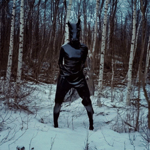 Dance Horse GIF