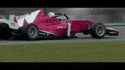Racing Driver GIF by W Series
