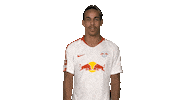 rb leipzig Sticker by Bundesliga