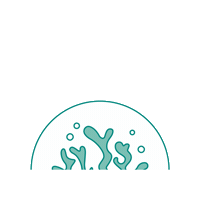 Sticker by Synergy WorldWide Europe
