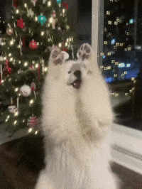 Qinu_samoyed happy christmas puppy waving GIF