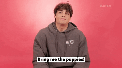 Noah Centineo Puppy GIF by BuzzFeed