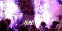 All Elite Wrestling GIF by AEWonTV