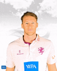 Wpa Facepalm GIF by Somerset County Cricket Club