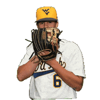 Baseball Sticker by WVU Tech Golden Bears
