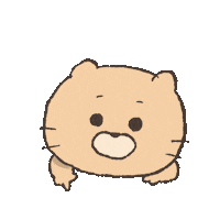 tsumupapa cat here click target Sticker